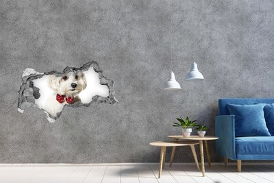 Zelfklevende 3D wandsticker illusie Hond in een trui door een gat in de muur