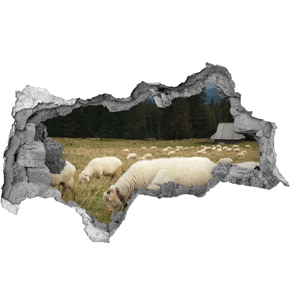 3D sticker gat in stenen muur Schapen in de wei