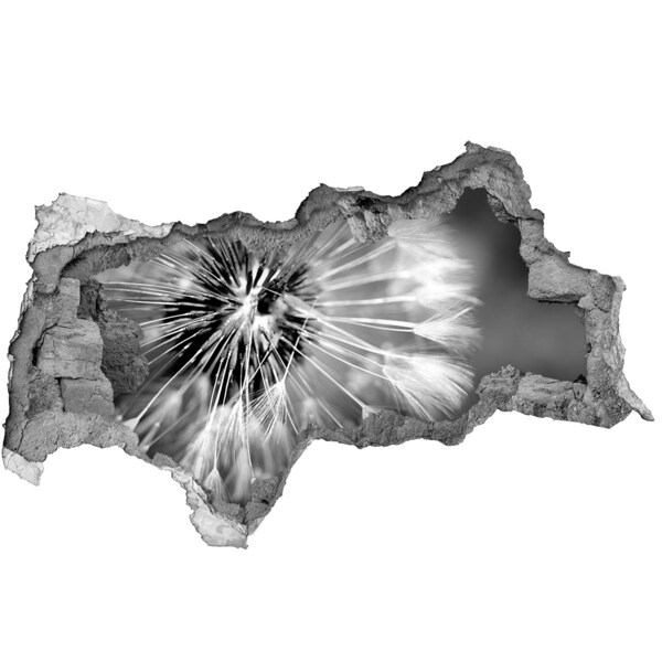 Wandsticker 3D doorkijk Paardenbloemen in zwart-wit