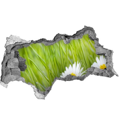 Wandsticker 3D doorkijk Een bloem in een groene tuin