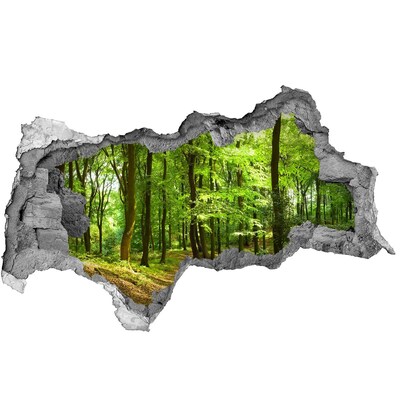 Wandsticker 3D doorkijk Groen bos in de zonnestralen