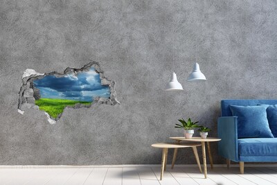 3D muursticker gescheurde muur Groene weide onder de wolken