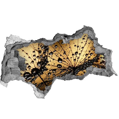 Zelfklevende 3D wandsticker illusie Druppels op de bladeren