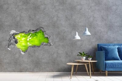 3D sticker gat in stenen muur Groene oase met water