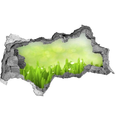 Wandsticker 3D doorkijk Groene weide met waterdruppels