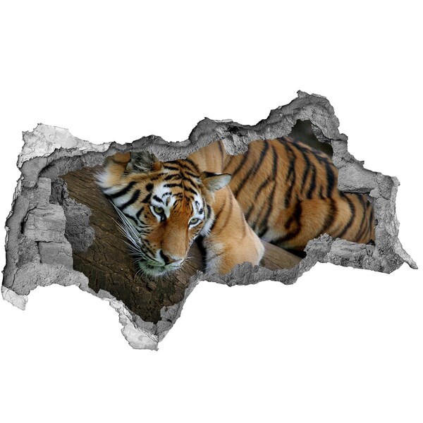 Zelfklevende 3D wandsticker illusie Tijger in zijn natuurlijke habitat