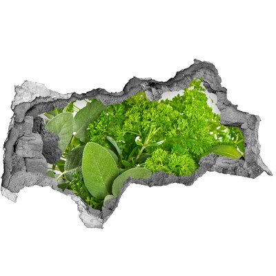 Wandsticker 3D doorkijk Een groene oase in beton.