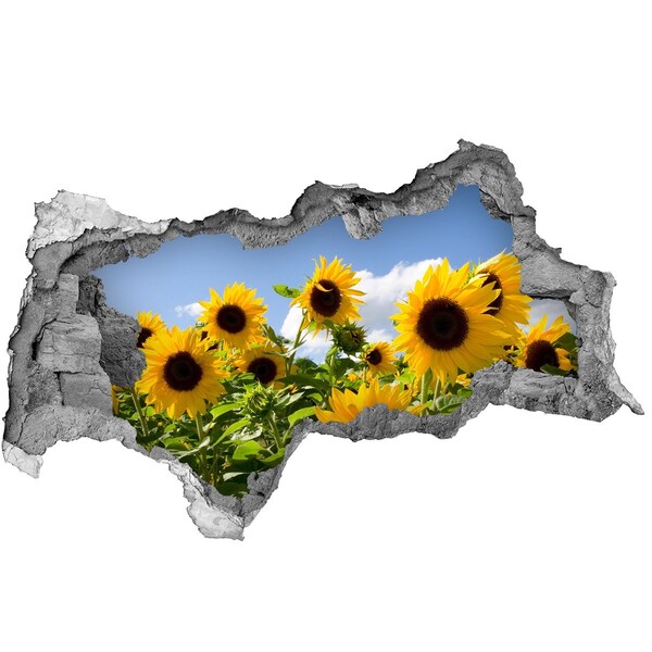 Wandsticker 3D doorkijk Zonnebloemen bij daglicht