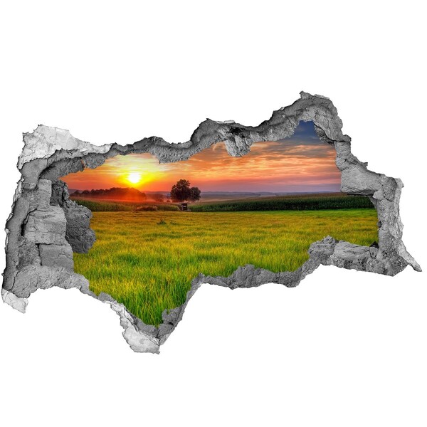 3D sticker gat in stenen muur Zonsondergang boven de weide