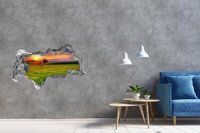 3D sticker gat in stenen muur Zonsondergang boven de weide
