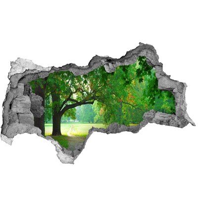 3D muursticker gescheurde muur Groen park in de zon