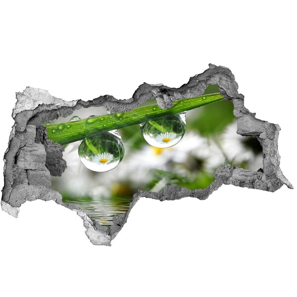Zelfklevende 3D wandsticker illusie Bloemenoase met waterdruppels
