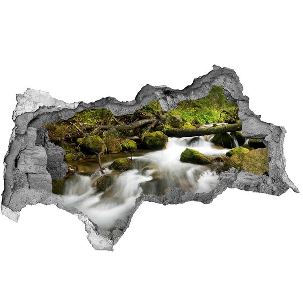 Wandsticker 3D doorkijk Groene beek in het bos