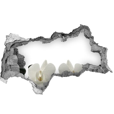 3D sticker gat in stenen muur Bloemen in beton