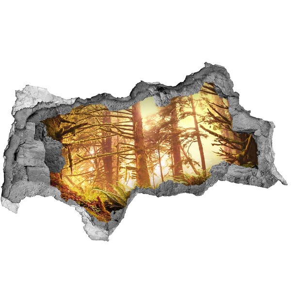 3D muursticker gescheurde muur Een oase in het bos, badend in de zon.