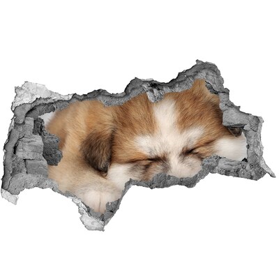 3D muursticker gescheurde muur Schattige puppy in een gat in de muur