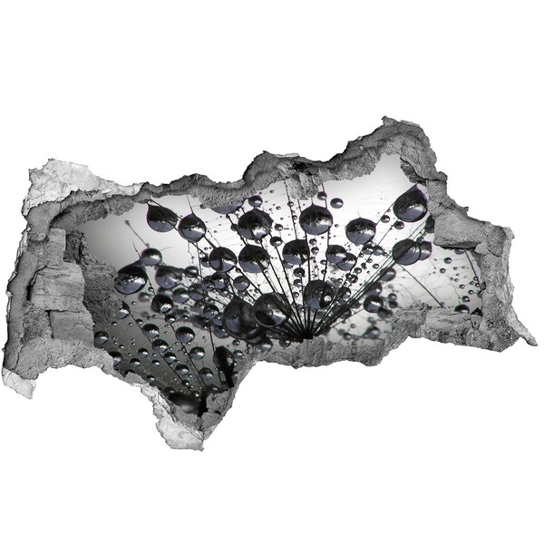 Zelfklevende 3D wandsticker illusie Waterdruppels op een paardenbloem