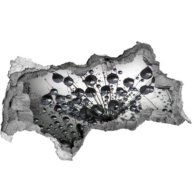 Zelfklevende 3D wandsticker illusie Waterdruppels op een paardenbloem