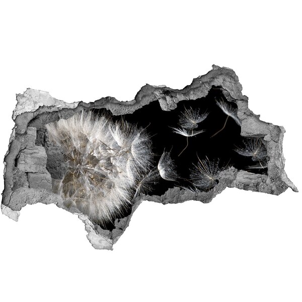 Zelfklevende 3D wandsticker illusie Paardenbloemen in een zwarte ruimte