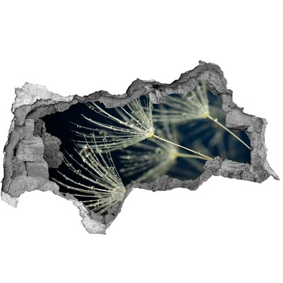 3D muursticker gescheurde muur Paardenbloemen in water