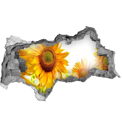 Wandsticker 3D doorkijk Een bloemendroom achter de muur