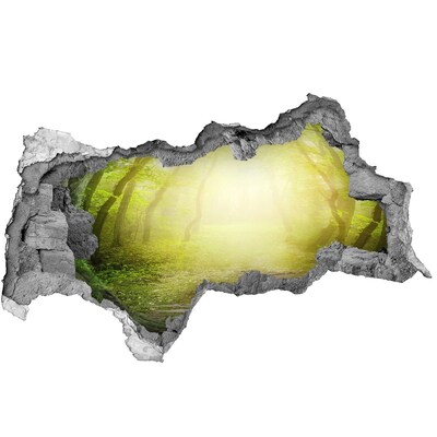 Wandsticker 3D doorkijk Groen bos in de zonnestralen