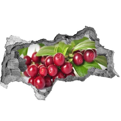 Zelfklevende 3D wandsticker illusie Fruity Hole in the Wall