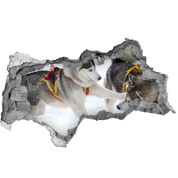 Zelfklevende 3D wandsticker illusie Siberische husky's in actie