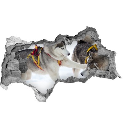 Zelfklevende 3D wandsticker illusie Siberische husky's in actie