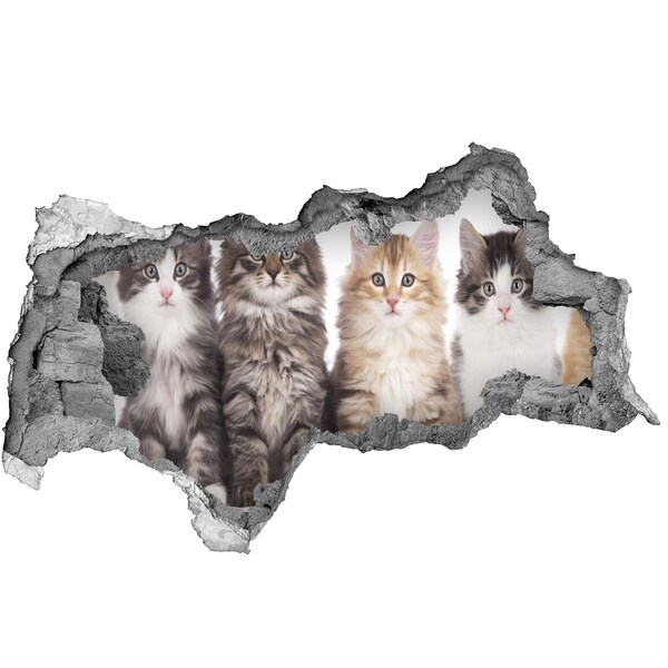 3D muursticker gescheurde muur Katten in een gat in de muur