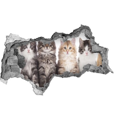 3D muursticker gescheurde muur Katten in een gat in de muur