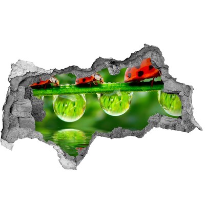 3D sticker gat in stenen muur Een vleugje natuur met een lieveheersbeestje