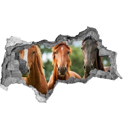 Wandsticker 3D doorkijk Paarden in hun natuurlijke leefomgeving