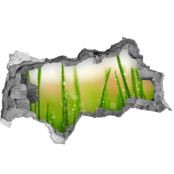 Zelfklevende 3D wandsticker illusie Groene weide met waterdruppels