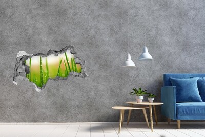 Zelfklevende 3D wandsticker illusie Groene weide met waterdruppels
