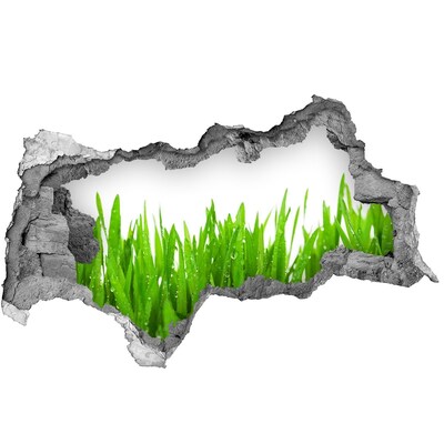 3D sticker gat in stenen muur Groene weide door een gat in de muur