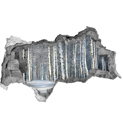 3D sticker gat in stenen muur Winterbos in het wit