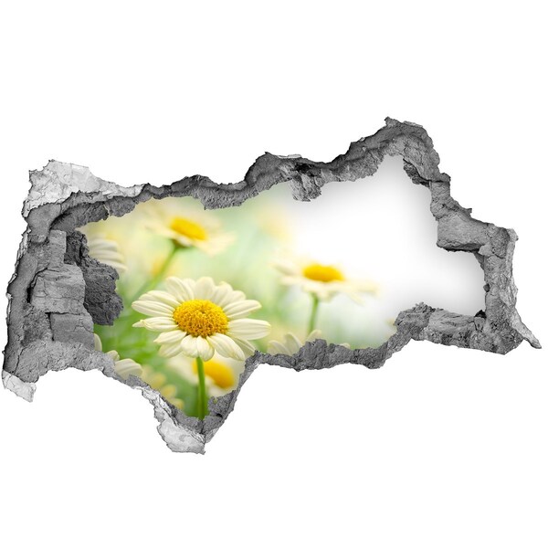 Zelfklevende 3D wandsticker illusie Een bloemenparadijs achter de muur.