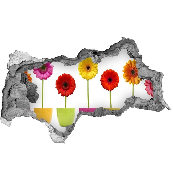 Wandsticker 3D doorkijk Bloemen in potten door een gat in de muur