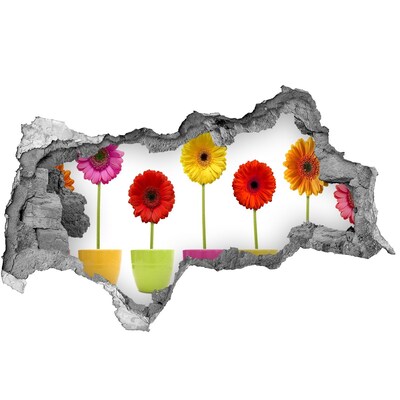 Wandsticker 3D doorkijk Bloemen in potten door een gat in de muur