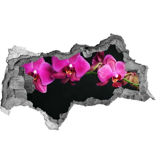 Zelfklevende 3D wandsticker illusie Orchidee door de muur