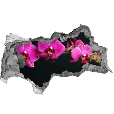 Zelfklevende 3D wandsticker illusie Orchidee door de muur