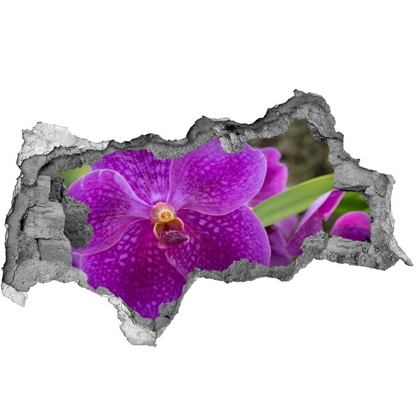 3D muursticker gescheurde muur Orchideebloem in een gat in de muur