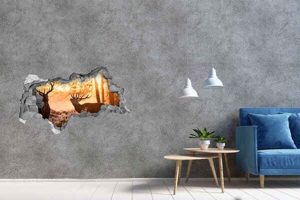 3D muursticker gescheurde muur Zonsopgang in het bos