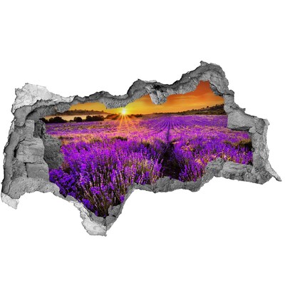3D muursticker gescheurde muur Lavendelveld bij zonsondergang