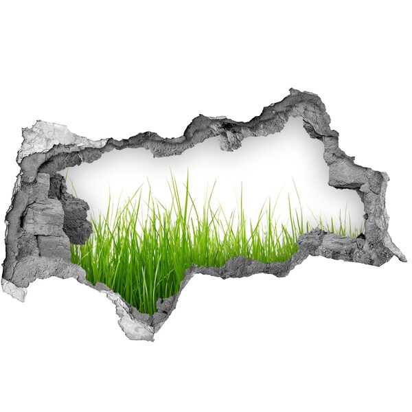 3D muursticker gescheurde muur Een groene weide achter de muur