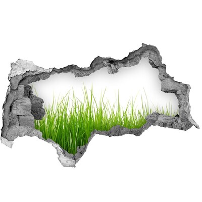 3D muursticker gescheurde muur Een groene weide achter de muur