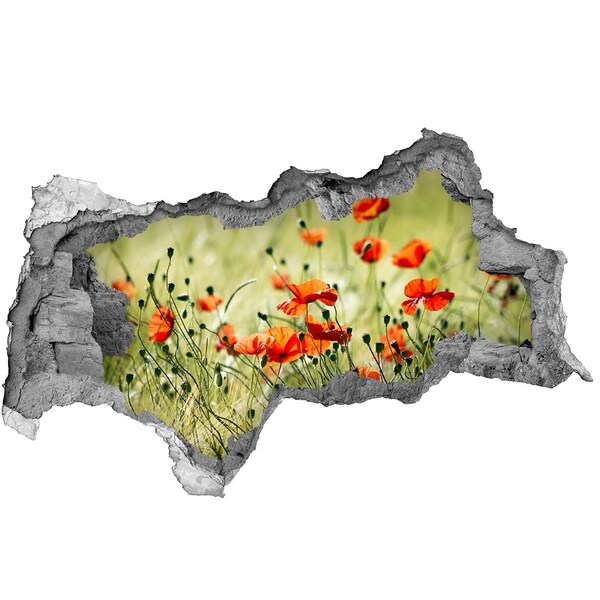 Zelfklevende 3D wandsticker illusie Een bloemenparadijs tussen de klaprozen