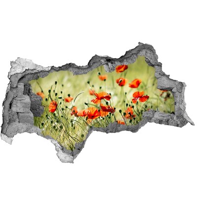 Zelfklevende 3D wandsticker illusie Een bloemenparadijs tussen de klaprozen