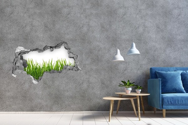 3D sticker gat in stenen muur Een groene weide achter de muur